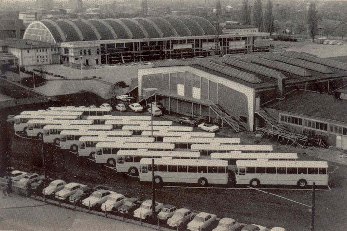 18 Busse stehen aufgereiht auf einem Parkplatz
