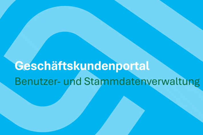Geschäftskundenportal: Stammdatenverwaltung