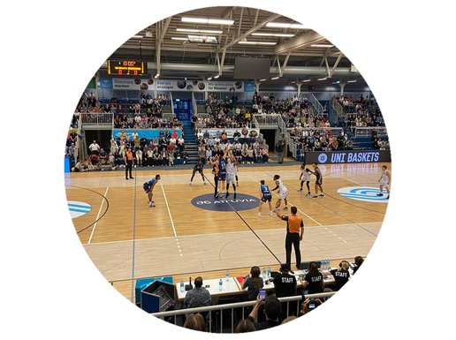 In der Halle Berg Fidel in Münster wird Basketball gespielt.