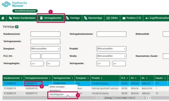 Mein Ewe Abschlag Ändern _ Digitalisierung: Nutzen Sie Services online ...