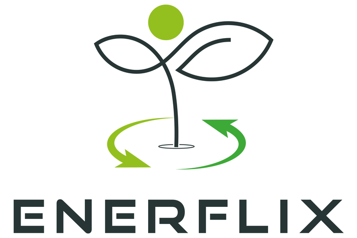 Logo: Enerflix