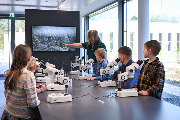Kleine Kinder sitzen an einem Tisch und schauen in Mikroskope, um sich die Organismen von Wasser anzusehen.