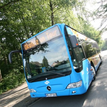 Ab Dienstag, 6. Februar können sich Kitas für eine Fahrt mit dem Umweltbus der Stadtwerke anmelden und eines von 14 naturnahen Zielen in und um Münster besuchen.