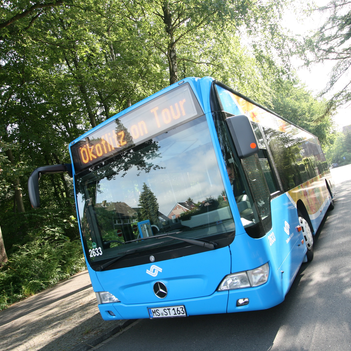 Ab Dienstag, 6. Februar können sich Kitas für eine Fahrt mit dem Umweltbus der Stadtwerke anmelden und eines von 14 naturnahen Zielen in und um Münster besuchen.
