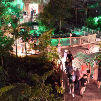 beleuchteter Allwetterzoo bei Dunkelheit