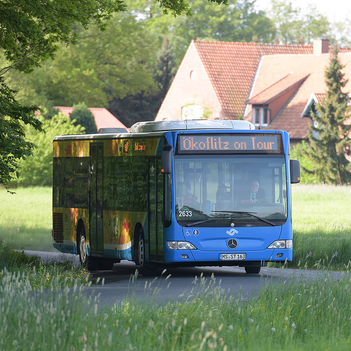 Ab Mittwoch, 6. Februar können sich Kitas bei den Stadtwerken für eine kostenlose Ökoflitz-Tour ins Grüne anmelden.