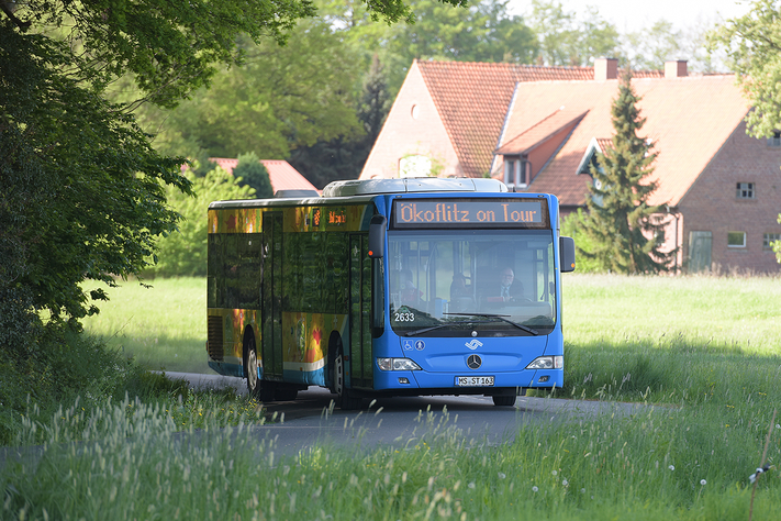 Ab Mittwoch, 6. Februar können sich Kitas bei den Stadtwerken für eine kostenlose Ökoflitz-Tour ins Grüne anmelden.