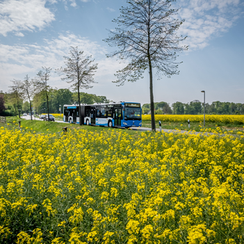 Ab Montag fahren die Stadtbusse in Münster wieder komplett nach dem normalen Fahrplan.