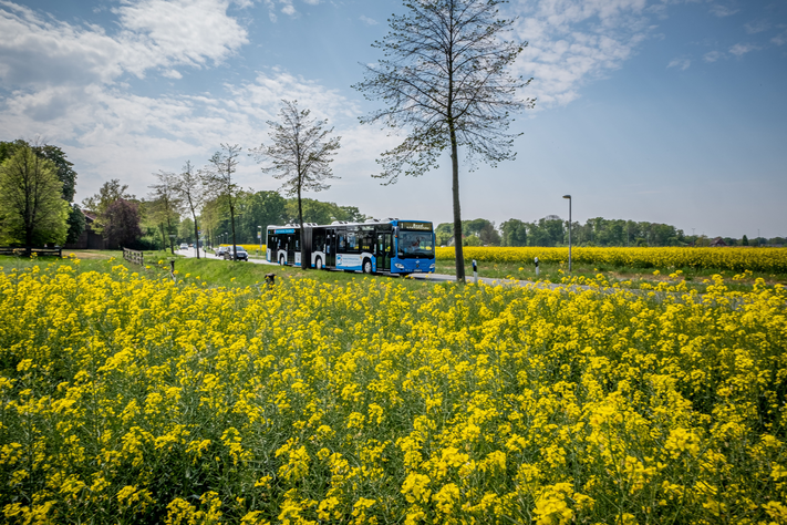 Ab Montag fahren die Stadtbusse in Münster wieder komplett nach dem normalen Fahrplan.