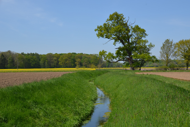 Der Offerbach fließt durch das neue Wasserschutzgebiet.