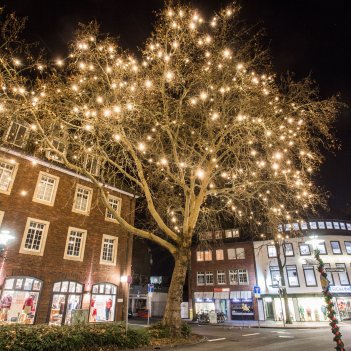 11.000 LED-Lichter an 50 Bäumen sorgen für weihnachtlichen Glanz. Zum Leuchten bringt sie Ökostrom.
