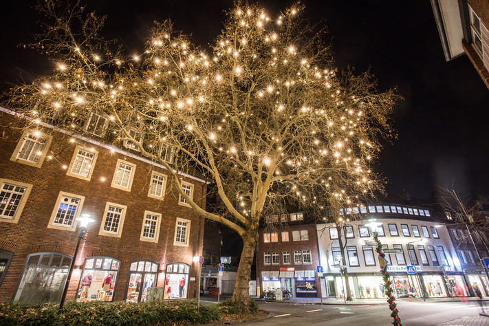 11.000 LED-Lichter an 50 Bäumen sorgen für weihnachtlichen Glanz. Zum Leuchten bringt sie Ökostrom.