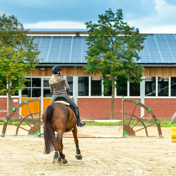 1.560 PV-Module auf dem Dach des Reit- und Fahrvereins Roxel versorgen rund 200 Haushalte mit CO2-freier Energie.