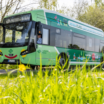 Der FLIKO -Bus fährt über eine Landstraße.